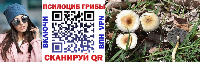 Псилоцибиновые грибы мицелий  мега зеркало  Фокино  купить  сайты 